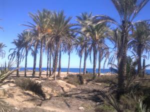 APARTAMENTO "Margarita" Cabo Roig