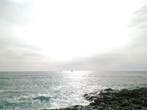 B&B / Chambres d'hotes Maison Entre Terre et Mer : photos des chambres