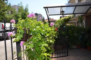 Villa Caci