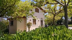 Roza's House Achaia Greece