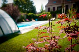 B&B / Chambres d'hotes Au Puy Des Verites : photos des chambres