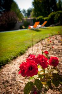 B&B / Chambres d'hotes Au Puy Des Verites : photos des chambres