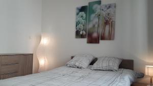 Appartements Baron Bouvier : photos des chambres