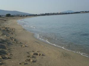 Homey Naxos Greece