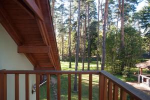 Accommodation in Pushkino