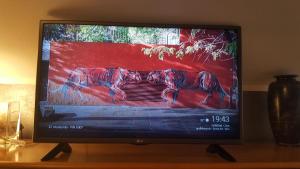 Un Soffice Nido Nel Cuore Di Torino