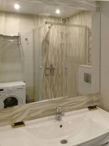 One-Bedroom Apartment room in Apartment on Litovskii Val