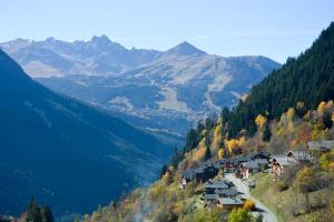 Chalets Chalet des Trappeurs Coeur Vanoise 15 persons : photos des chambres