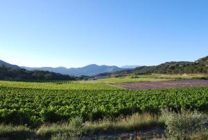 Domaine de Provensol