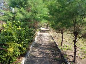 Sasak Island Bungalows