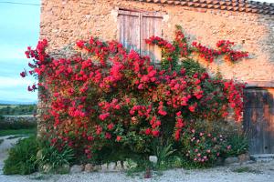 Maisons de vacances Le Clos de la Tuilerie : photos des chambres