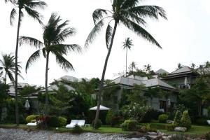 Replay Pool Villa Beachfront hotel, 
Koh Samui, Thailand.
The photo picture quality can be
variable. We apologize if the
quality is of an unacceptable
level.