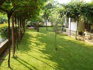 Apartments Modrušan