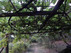 Nato Gesthouse in Uraveli