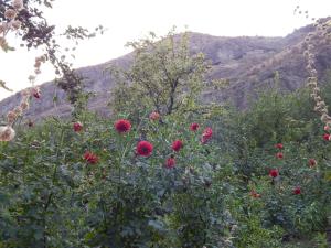 Nato Gesthouse in Uraveli