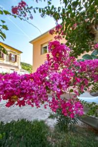 Apartman Nena Crikvenica 
