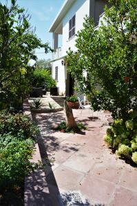 B&B Gianni e Pia img24