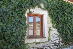 Chou da Covinha - 阿尔卡内纳