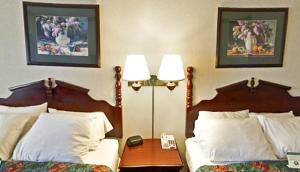 Queen Room with Two Queen Beds - Non-Smoking room in Americas Best Value Inn Waukegan