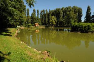 B&B / Chambres d'hotes Les Pigeonnes : photos des chambres