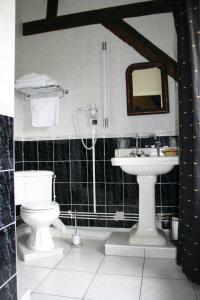 B&B / Chambres d'hotes Au Chateau Des Thermes : Chambre Double ou Lits Jumeaux avec Douche