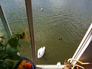 Houseboat Concordia B&B