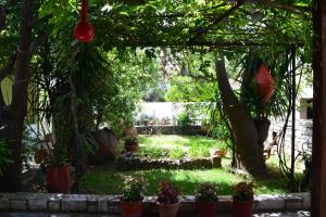 Chouchounikos Apartments