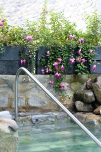 Hotel Termales Tierra Viva