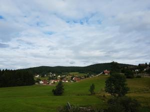 Chalets La jonquille jacuzzi et sauna : photos des chambres