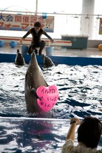 Shibushiwan Daikoku Resort Hotel