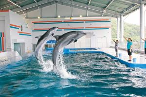 Shibushiwan Daikoku Resort Hotel