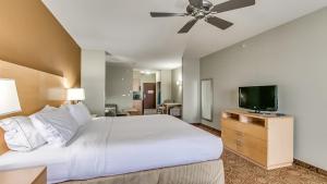 Standard King Room with Sofa Bed - Non-Smoking room in Holiday Inn Express & Suites Lubbock Southwest – Wolfforth an IHG Hotel