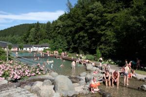 Single Room room in Pension / Ferienwohnung Allebrodt