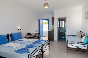 Iliovasilema Studios Donousa-Island Greece