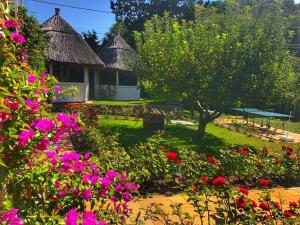 Pensione R&oacute;zsakert Vend&eacute;gh&aacute;z Szigliget Ungheria