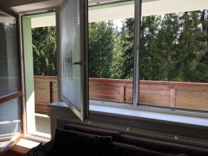 Superior Apartment with Balcony room in Apartmenty PATRIS