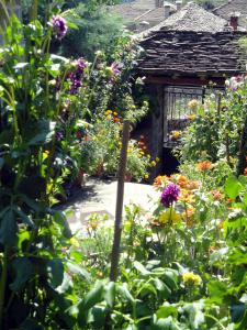 Guesthouse Gouris Zagori Greece