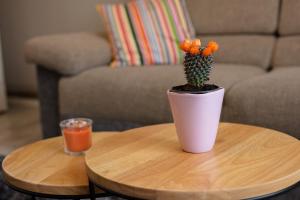 Apartment Impression