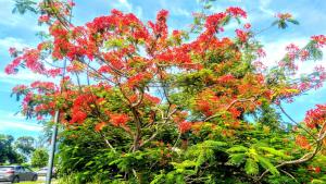 villa siber - 3hvězdičkové hotely ve městě Port-Louis