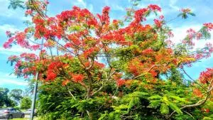 villa siber - Richemont