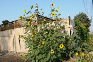 8635 Ustick Road Apartment