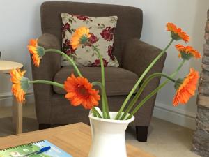 March Cottage Brecon