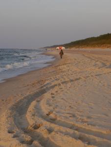 Chalet Dom na Zlotych Wydmach Międzywodzie Pologne