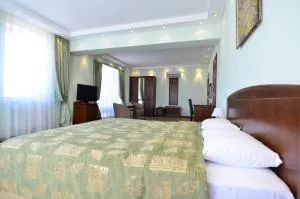 Platinum Hotel - Budeşti