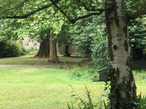 Maisons d'hotes Au Rez de Jardin : photos des chambres