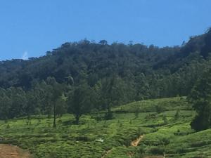 Perera Homestay