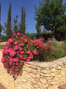 Maisons de vacances Mas la Pinede : photos des chambres