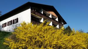 Alpencottage Bad Aussee