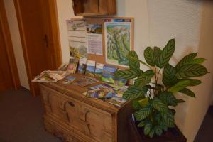 Appartement Belmonte