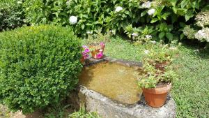 A Pena de Augasantas